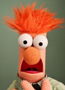 My favorite Muppet - Beaker!